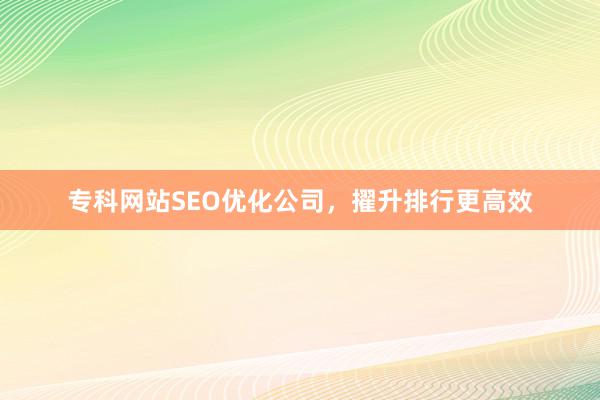 专科网站SEO优化公司，擢升排行更高效