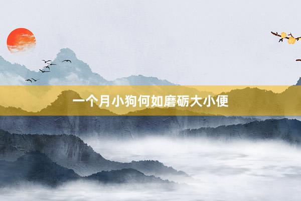 一个月小狗何如磨砺大小便
