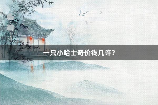 一只小哈士奇价钱几许?