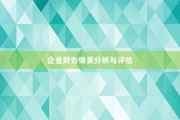 企业财务情景分析与评估